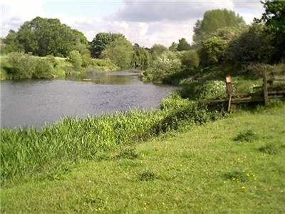 The Willow Beds Tales